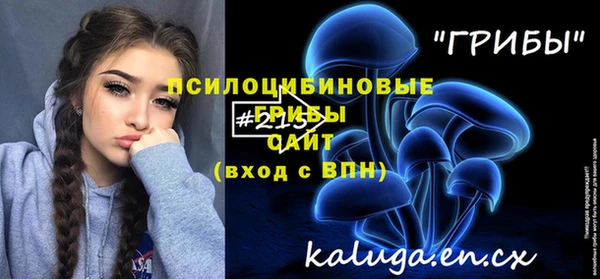 не бодяженный Аркадак