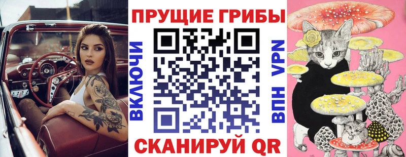 Псилоцибиновые грибы GOLDEN TEACHER Бодайбо
